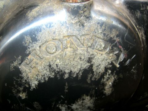 Moteur,cylindre,culasse,boite à vitesses HONDA VT 600 SHADOW année:1998