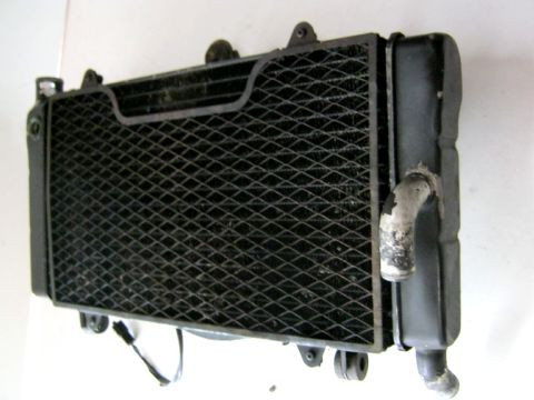 Radiateur d'eau,ventilateur HONDA 1000 CBR année:1988 type:SC21
