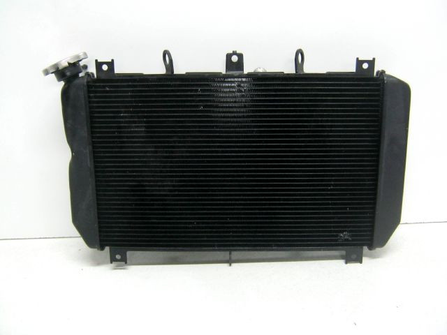 Radiateur KAWASAK Z 900 an 2018 réf 39061-0745 