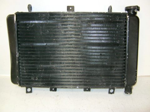 Radiateur TRIUMPH 600 TT année:2002