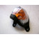 Clignotant moto droit RH30
