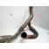 Collecteur silencieux échappement IXIL SILENCERS KTM 690 DUKE an 2013 