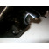 Bulle,pare brise noire BMW GS 1100 année:1998