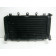 Radiateur KAWASAK Z 900 an 2018 réf 39061-0745 