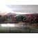 Silencieux d'échappement gauche YAMAHA 900 TDM année:2007 type:5PS