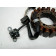 Stator alternateur , capteur allumage YAMAHA 850 TDM an 1999 type 4TX réf 4TX-81410-00, 4TX8141000 