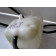Vase d"expansion HONDA 600 CBR FS année:2001 type:LJH1AL401031